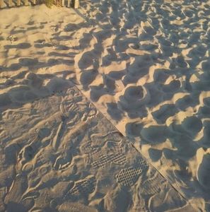 Meet your Posher, Jacqueline